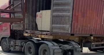 鄂州 黄金麻荔枝面毛板