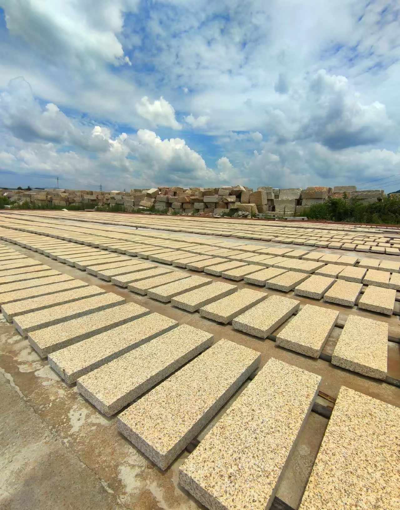 鄂州 黄金麻荔枝面花岗岩石材地铺石防护中