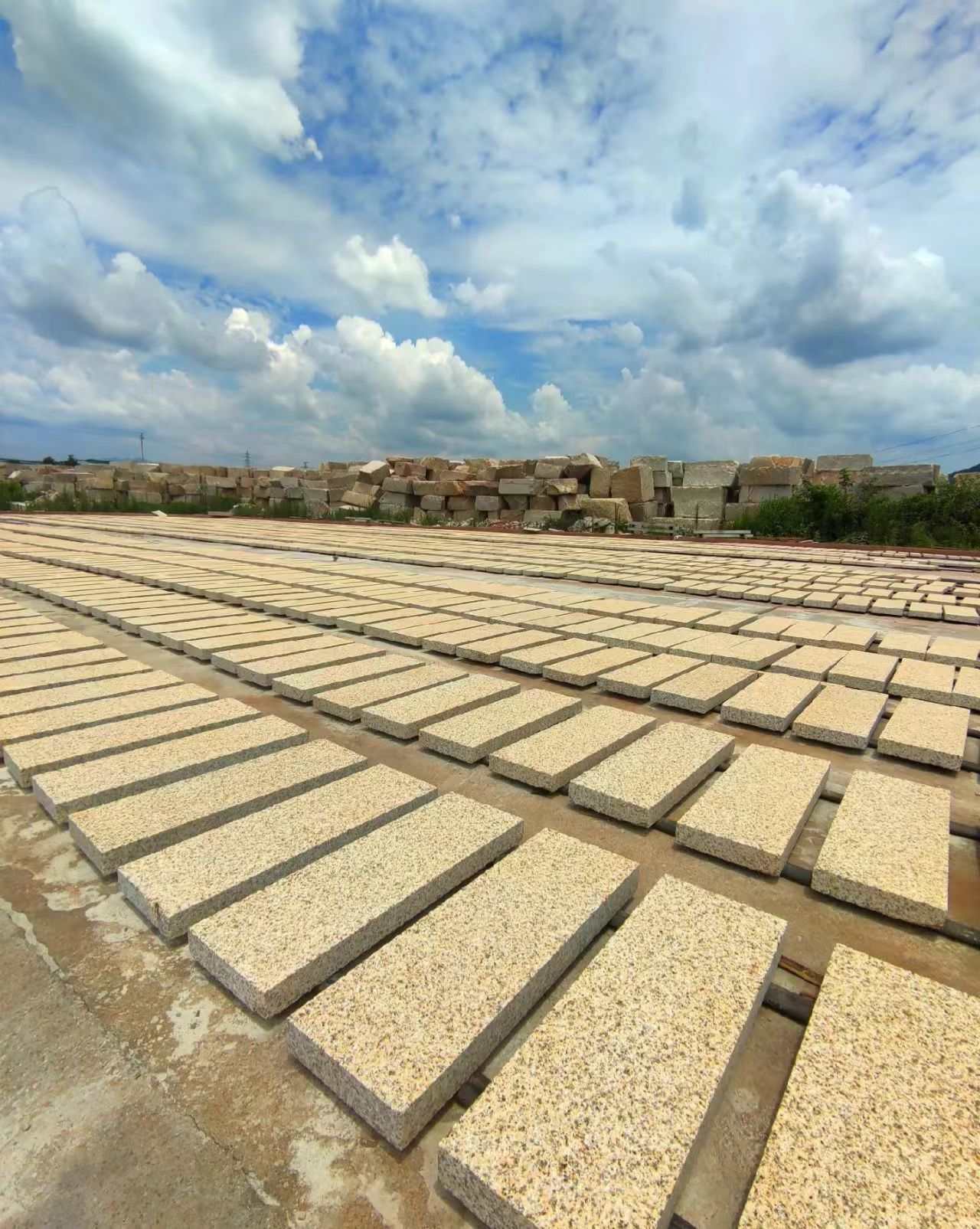 鄂州 黄金麻花岗岩荔枝面地铺石防护中