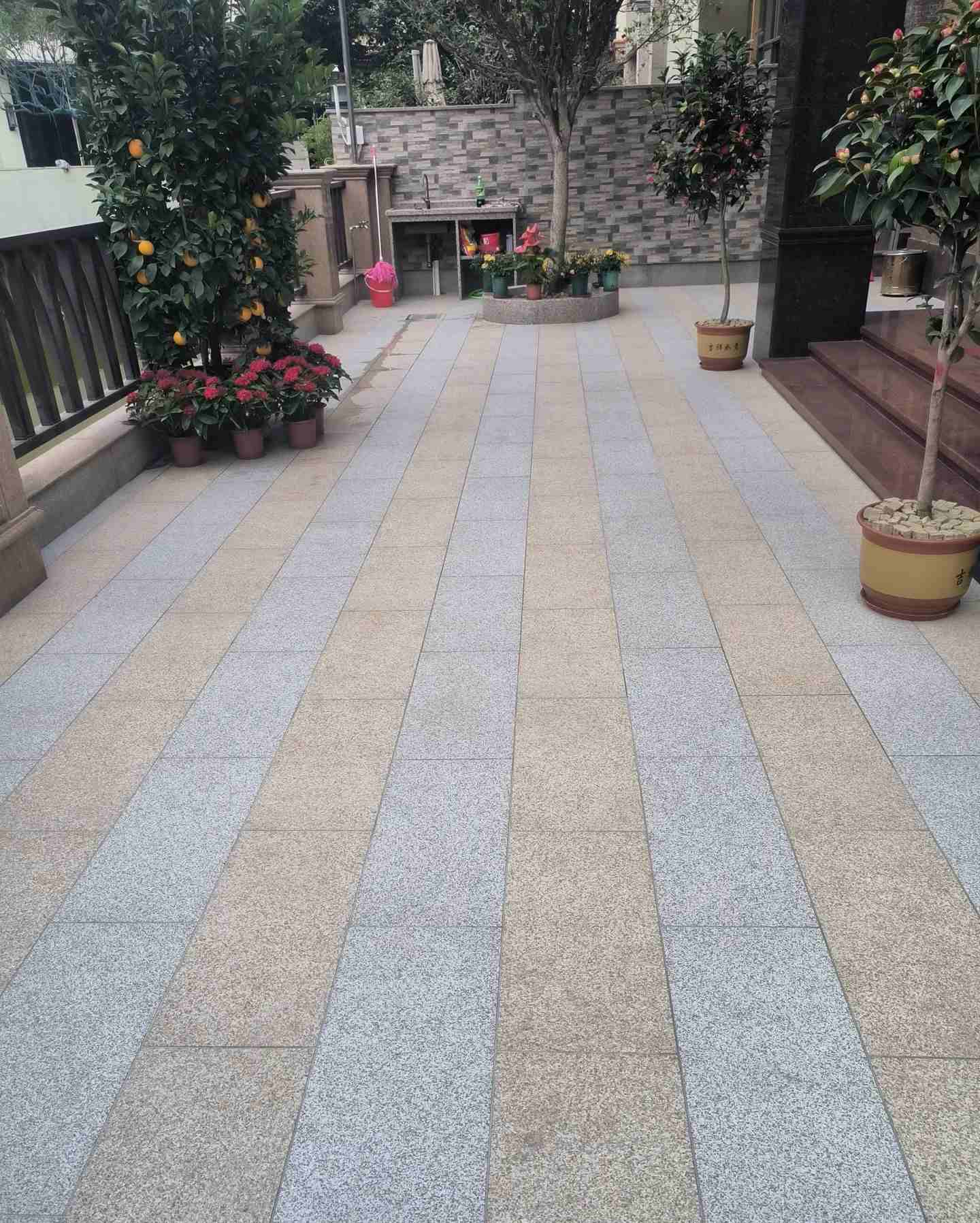 鄂州 黄金麻白麻荔枝面庭院铺装展示